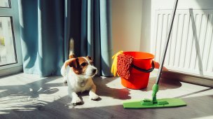 produtos de limpeza para pets